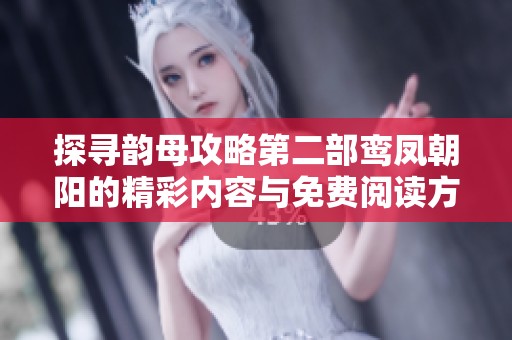 探寻韵母攻略第二部鸾凤朝阳的精彩内容与免费阅读方式