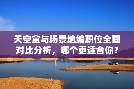 天空盒与场景地编职位全面对比分析，哪个更适合你？