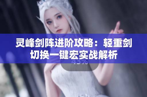 灵峰剑阵进阶攻略：轻重剑切换一键宏实战解析