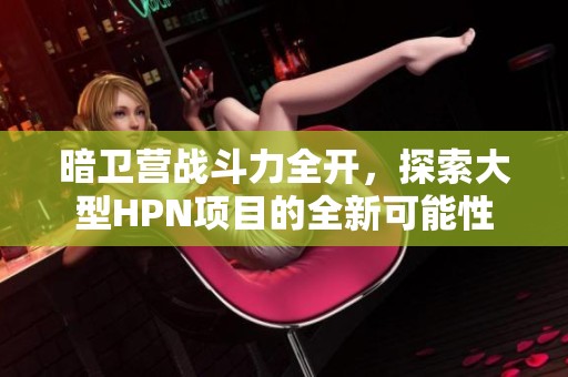暗卫营战斗力全开，探索大型HPN项目的全新可能性