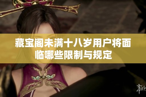 藏宝阁未满十八岁用户将面临哪些限制与规定