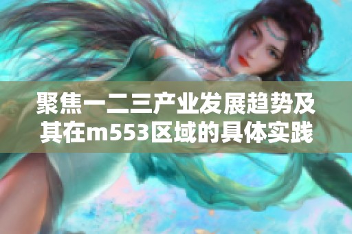 聚焦一二三产业发展趋势及其在m553区域的具体实践