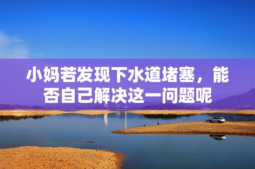 小妈若发现下水道堵塞，能否自己解决这一问题呢