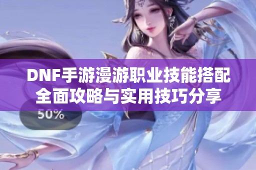 DNF手游漫游职业技能搭配全面攻略与实用技巧分享