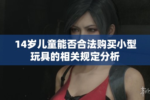 14岁儿童能否合法购买小型玩具的相关规定分析