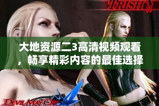 大地资源二3高清视频观看，畅享精彩内容的最佳选择