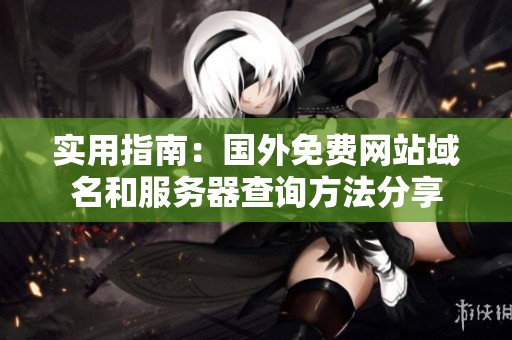 实用指南：国外免费网站域名和服务器查询方法分享