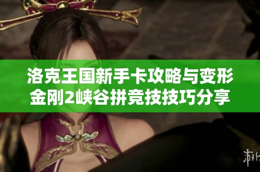 洛克王国新手卡攻略与变形金刚2峡谷拼竞技技巧分享