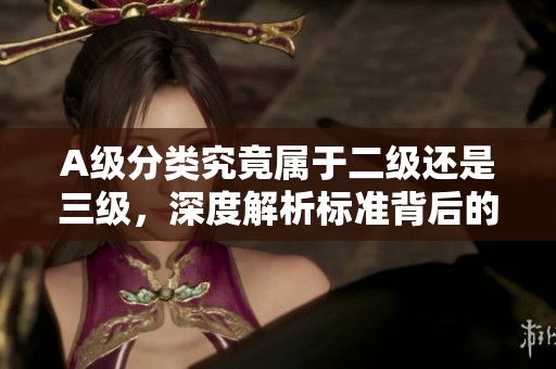 A级分类究竟属于二级还是三级，深度解析标准背后的真相