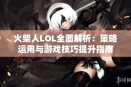 火柴人LOL全面解析：策略运用与游戏技巧提升指南