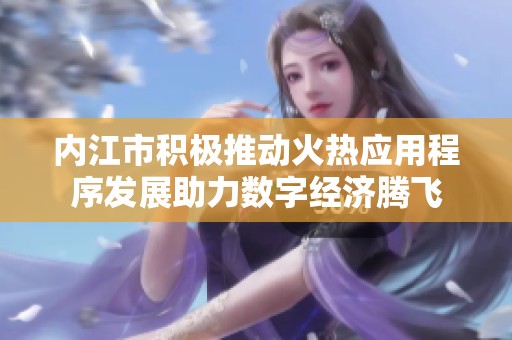内江市积极推动火热应用程序发展助力数字经济腾飞