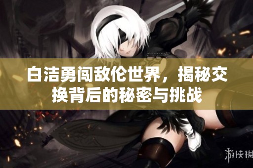 白洁勇闯敌伦世界，揭秘交换背后的秘密与挑战