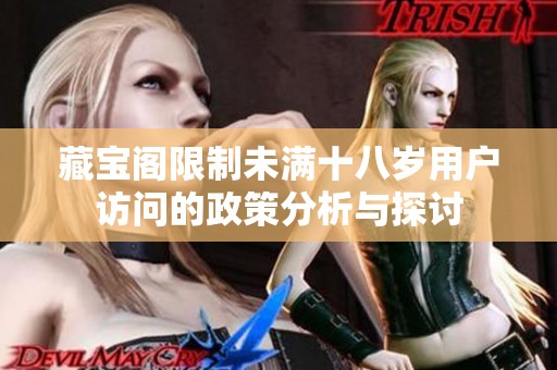 藏宝阁限制未满十八岁用户访问的政策分析与探讨
