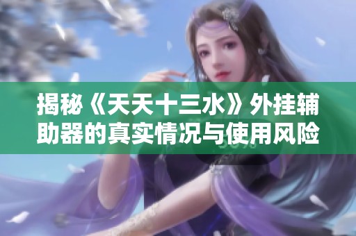 揭秘《天天十三水》外挂辅助器的真实情况与使用风险