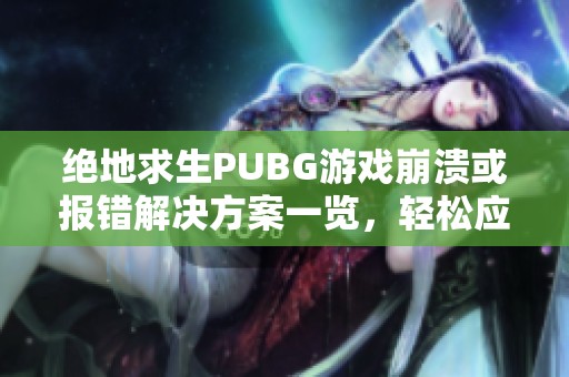 绝地求生PUBG游戏崩溃或报错解决方案一览，轻松应对！