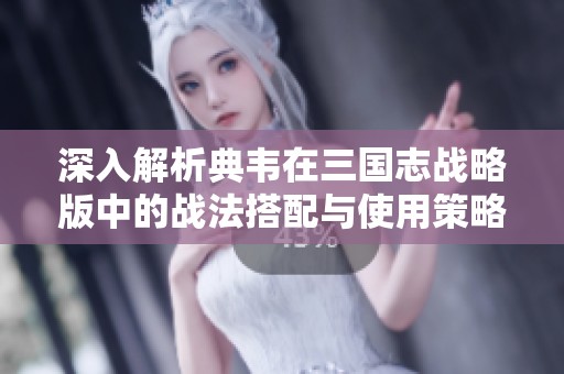 深入解析典韦在三国志战略版中的战法搭配与使用策略