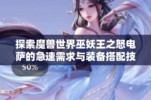 探索魔兽世界巫妖王之怒电萨的急速需求与装备搭配技巧
