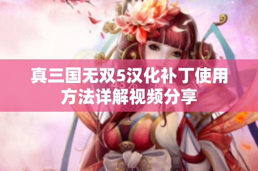 真三国无双5汉化补丁使用方法详解视频分享 真三国无双5汉化补丁使用方法详解视频分享
